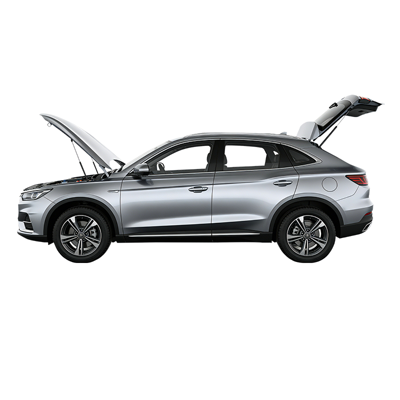 Automotive Gas Spring